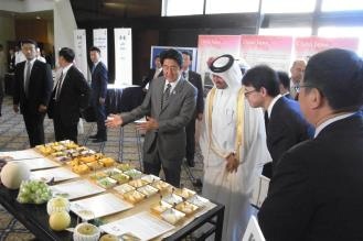 安倍首相ドーハ訪問に同行