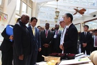 安倍首相モザンビーク訪問に同行